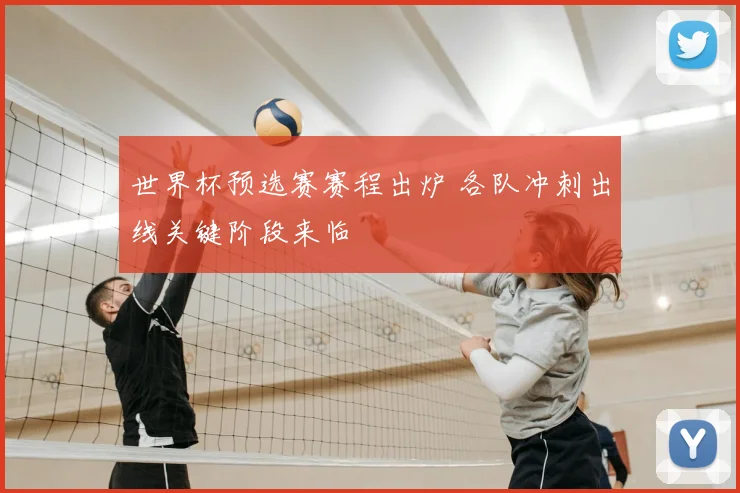 世界杯预选赛赛程出炉 各队冲刺出线关键阶段来临