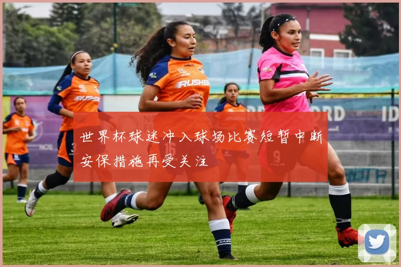 世界杯球迷冲入球场比赛短暂中断安保措施再受关注