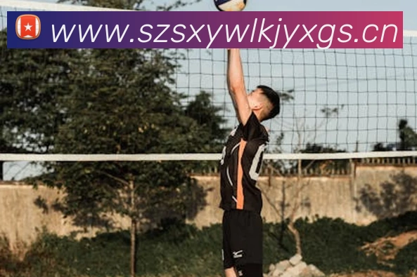 球速2028官网入口APP 封面图